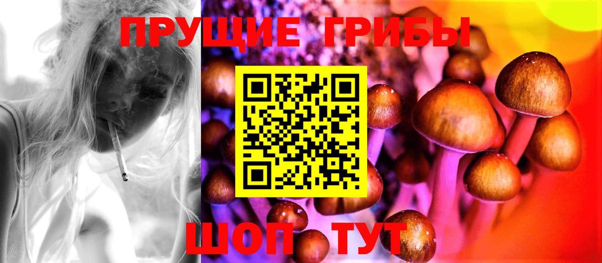 Саров  хочу наркоту  Вход с VPN  Галлюциногенные грибы прущие грибы  Псилоцибиновые грибы мухоморы 